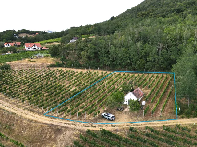 Eladó nyaraló Káptalantóti, Külterület 39 nm