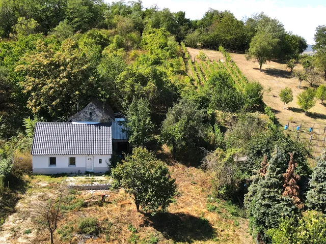 Eladó nyaraló Raposka 43 nm