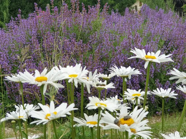 Eladó ház Balatonszárszó, Szóládi utca 140 nm