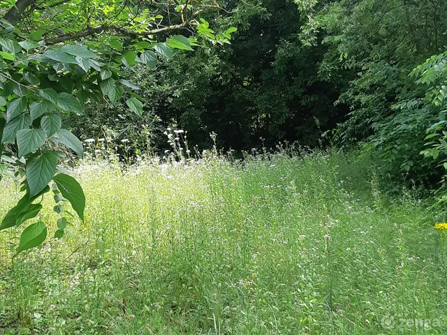 Eladó telek Budapest XVI. kerület 962 nm