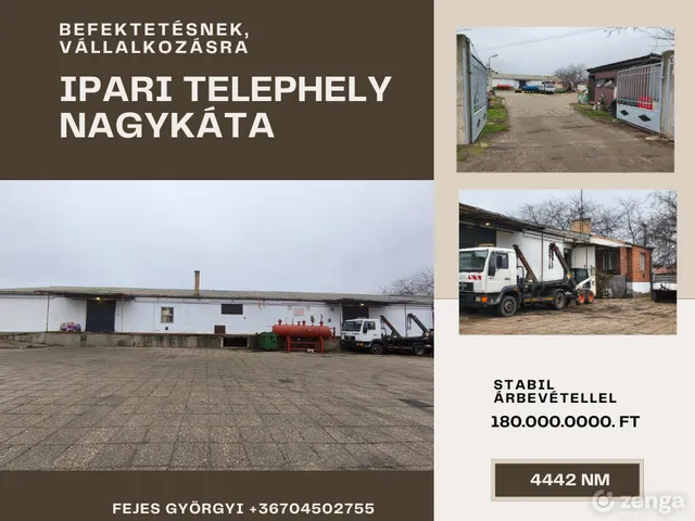 Eladó kereskedelmi és ipari ingatlan Nagykáta 1017 nm