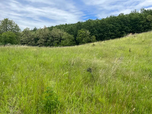 Eladó kereskedelmi és ipari ingatlan Dorogháza 220000 nm