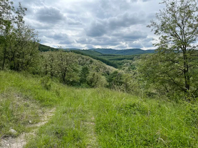 Eladó kereskedelmi és ipari ingatlan Dorogháza 220000 nm
