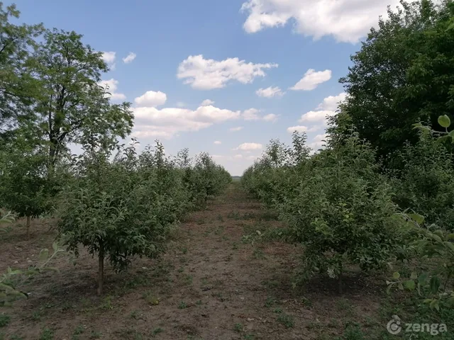 Eladó telek Végegyháza 2200 nm