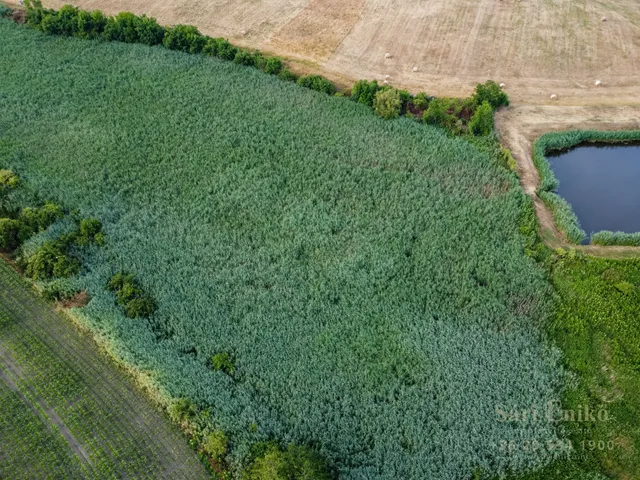 Eladó mezőgazdasági ingatlan Mezőszilas 36000 nm