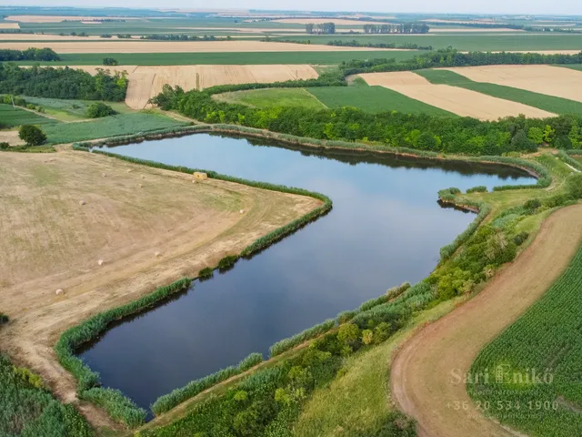 Eladó mezőgazdasági ingatlan Mezőszilas 36000 nm