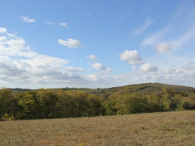 Eladó telek Győrújbarát, paperdő 1570 nm