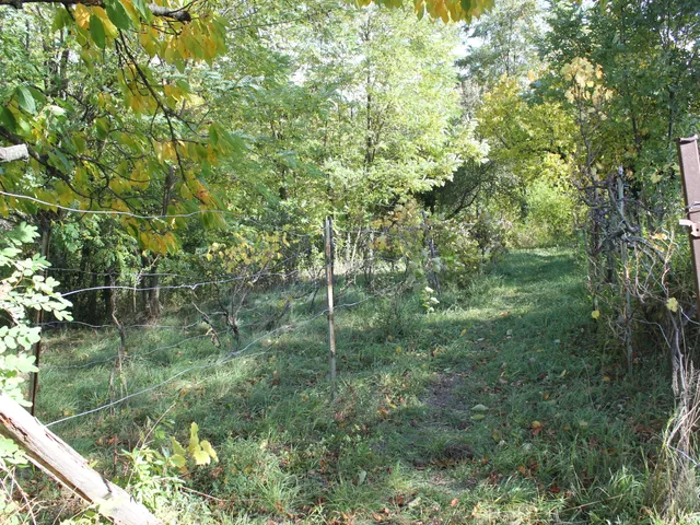 Eladó telek Győrújbarát, paperdő 1570 nm