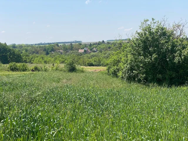 Eladó mezőgazdasági ingatlan Vértesacsa 1539 nm
