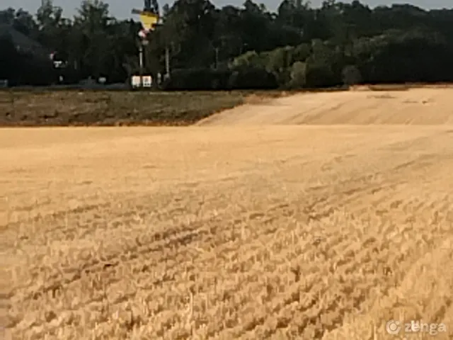Eladó mezőgazdasági ingatlan Mezőkövesd 10000 nm