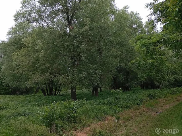 Eladó mezőgazdasági ingatlan Egerág 108000 nm