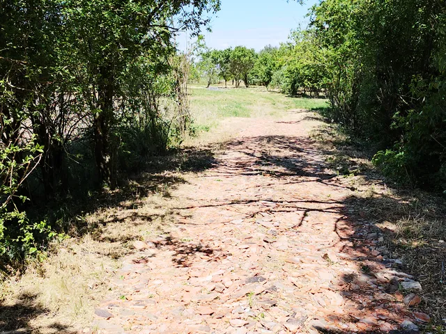 Eladó telek Mezőtúr, Túrkevei út  4845 nm