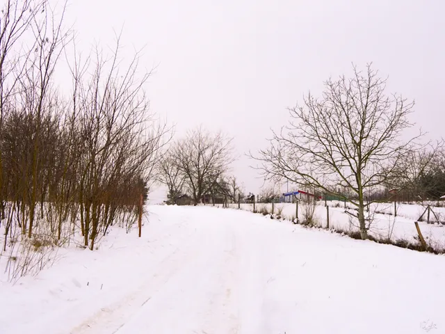 Eladó telek Taksony 2555 nm