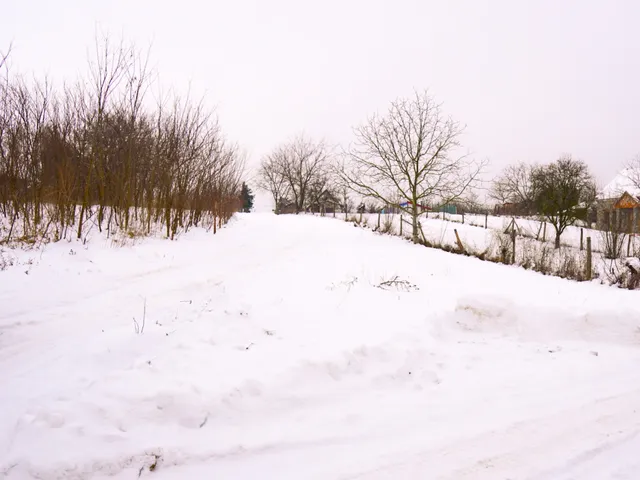 Eladó telek Taksony 2555 nm