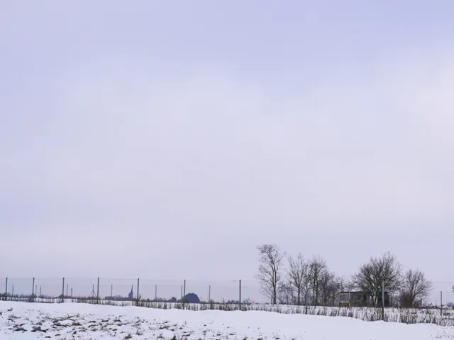 Eladó telek Szigetcsép 519 nm