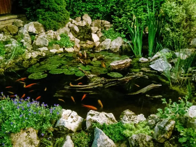 Eladó ház Szigetszentmiklós 195 nm