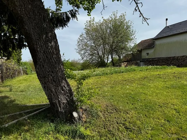 Eladó telek Kustánszeg 2311 nm