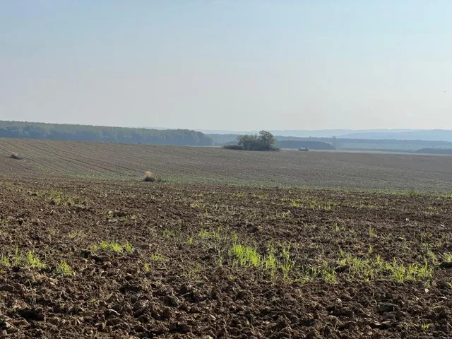 Eladó kereskedelmi és ipari ingatlan Kispáli 5998 nm