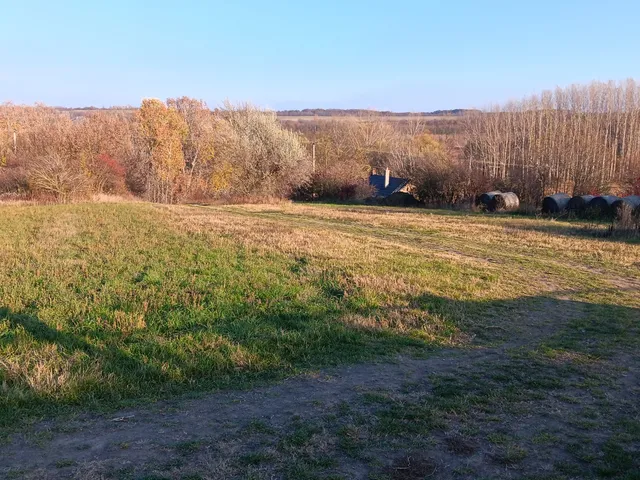 Eladó telek Nagyberény, Szabadság utca 983 nm