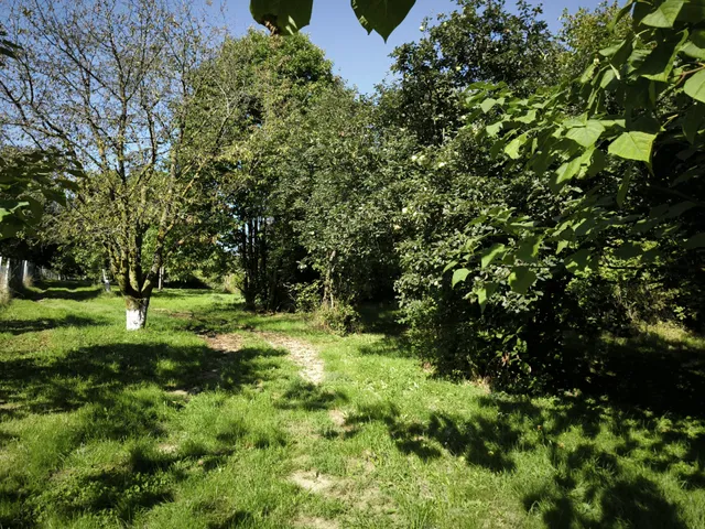 Eladó mezőgazdasági ingatlan Alsópáhok 4366 nm