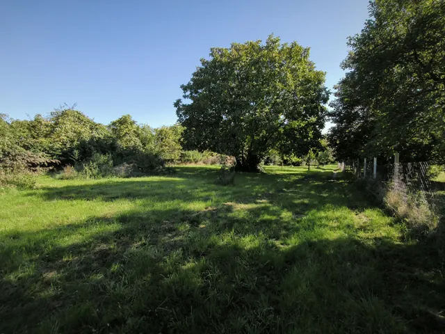 Eladó mezőgazdasági ingatlan Alsópáhok 4366 nm