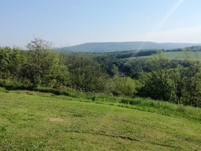 Eladó mezőgazdasági ingatlan Sénye 4953 nm