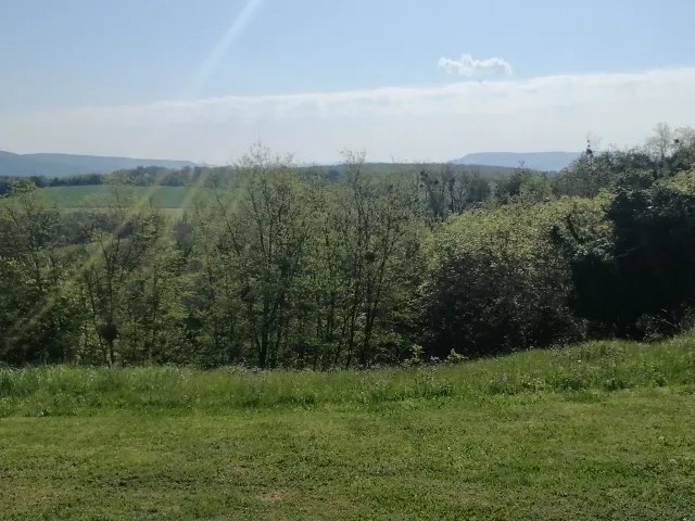 Eladó mezőgazdasági ingatlan Sénye 4953 nm