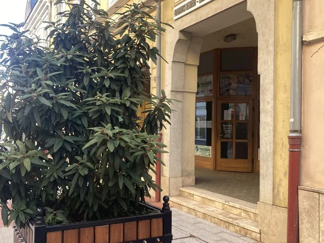 Eladó kereskedelmi és ipari ingatlan Nagykanizsa 131 nm