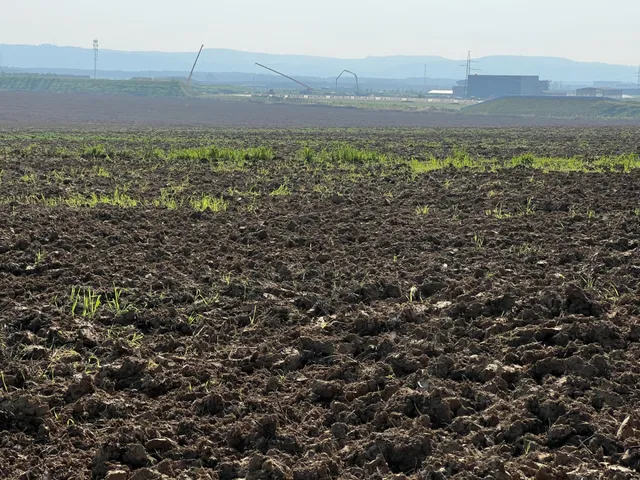 Eladó telek Kispáli 5998 nm