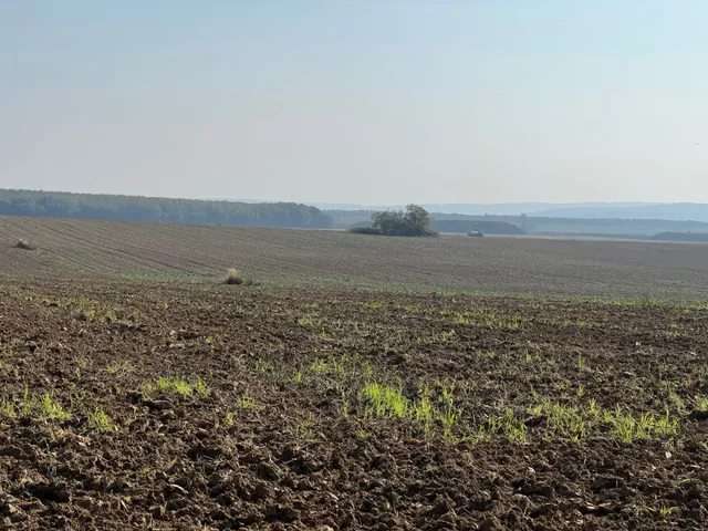 Eladó telek Kispáli 5998 nm