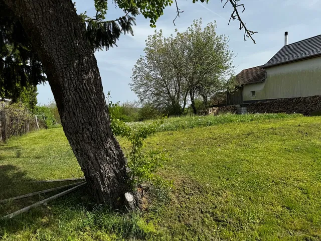 Eladó telek Kustánszeg 2311 nm