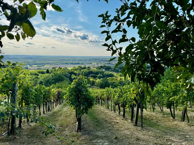 Eladó ház Zalaegerszeg 30 nm