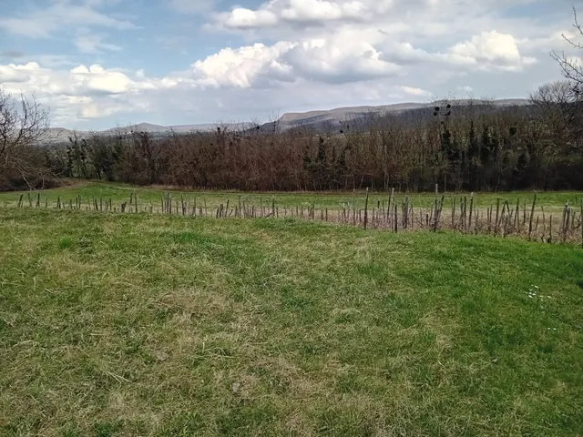 Eladó mezőgazdasági ingatlan Karmacs 3771 nm