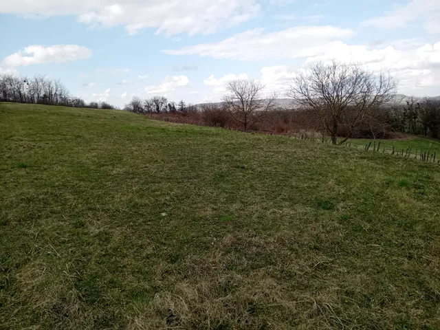 Eladó mezőgazdasági ingatlan Karmacs 3771 nm