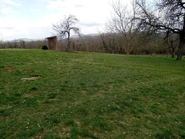 Eladó mezőgazdasági ingatlan Karmacs 3771 nm