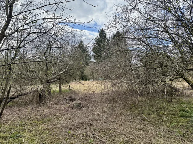 Eladó ház Bak 90 nm