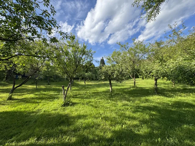 Eladó mezőgazdasági ingatlan Zalaegerszeg, Gálafej 1250 nm