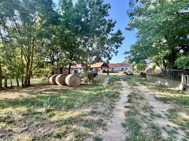 Eladó mezőgazdasági ingatlan Potyond 692 nm