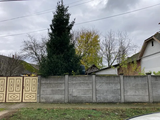 Eladó ház Makó, Újváros 100 nm