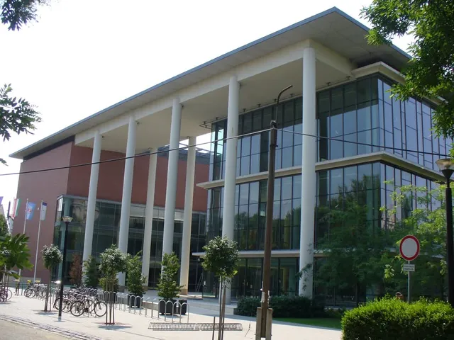 Kiadó lakás Szeged, Belváros 26 nm