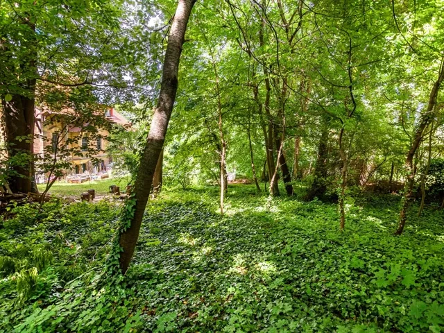 Eladó telek Budapest XII. kerület, Svábhegy 1776 nm