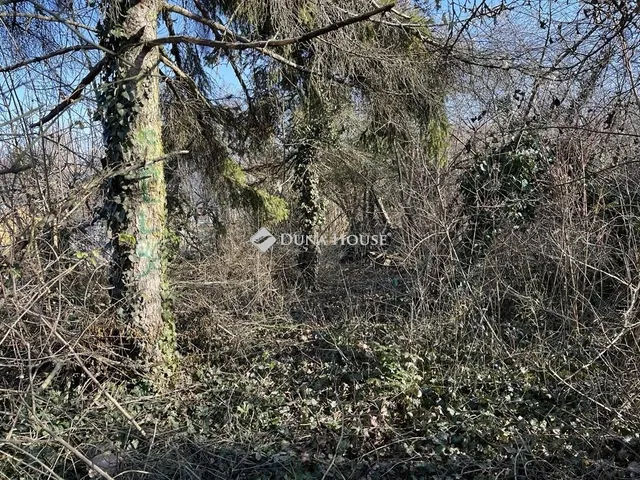 Eladó telek Budakeszi 1339 nm