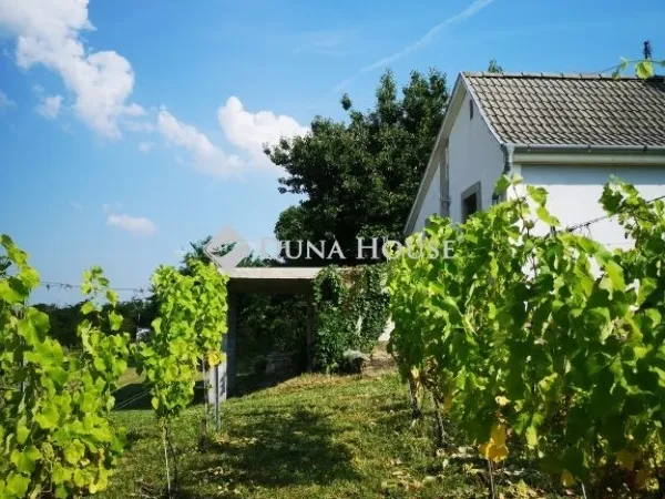 Eladó mezőgazdasági ingatlan Doba 71 nm