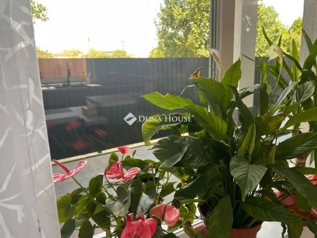 Eladó ház Alsónémedi 155 nm