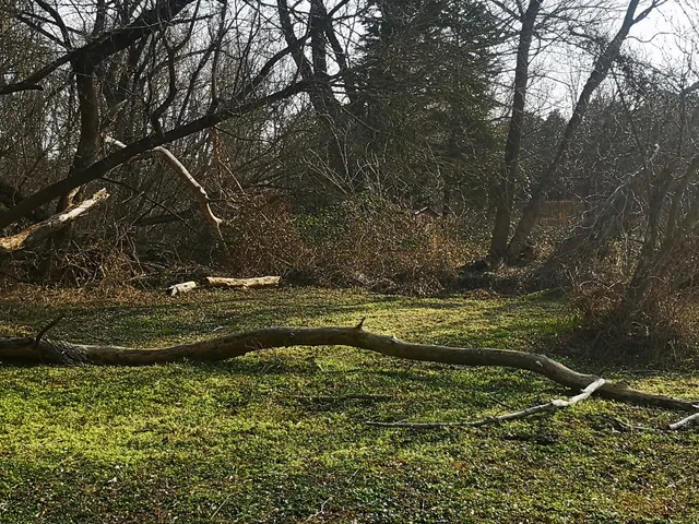 Eladó telek Balatonföldvár 975 nm