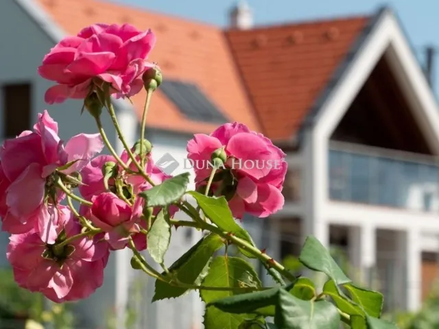 Eladó kereskedelmi és ipari ingatlan Paloznak 332 nm