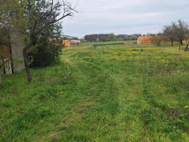 Eladó telek Tiszaföldvár, kertvárosi 4215 nm