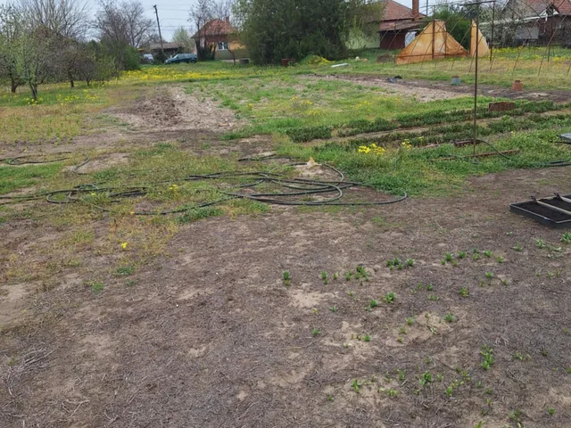 Eladó telek Tiszaföldvár, kertvárosi 4215 nm
