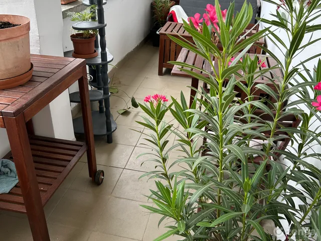 Eladó lakás Budapest IV. kerület, Újpest 50 nm