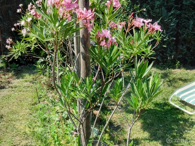 Eladó ház Abda 102 nm